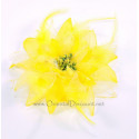 Fleur à cheveux jaune
