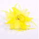 Fleur à cheveux jaune