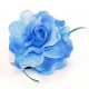 Fleur à cheveux turquoise
