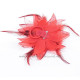 Fleur à cheveux rouge