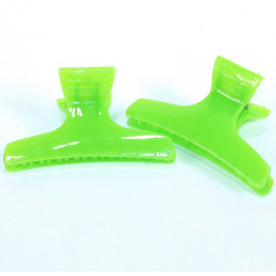 Lot de 2 pinces croco vert