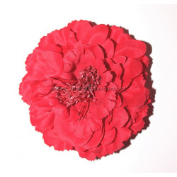 Fleur à cheveux rouge