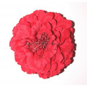 Fleur à cheveux rouge
