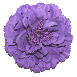 Fleur à cheveux violet