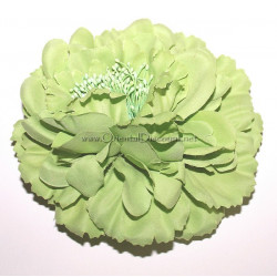 Fleur à cheveux vert clair