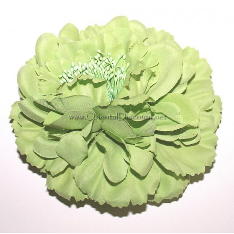 Fleur à cheveux vert clair