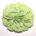 Fleur à cheveux vert clair