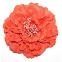 Fleur à cheveux orange