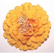 Fleur à cheveux jaune