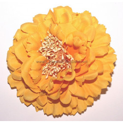 Fleur à cheveux jaune