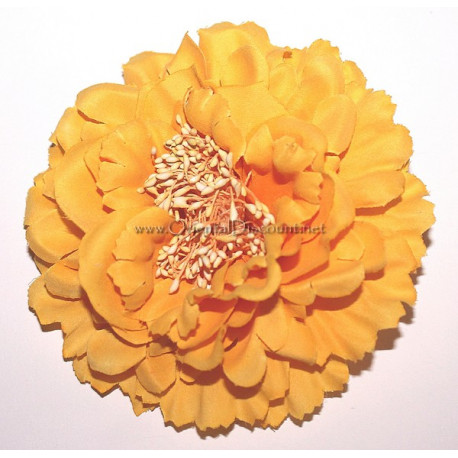 Fleur à cheveux jaune