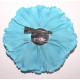 Fleur à cheveux turquoise