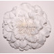 Fleur à cheveux blanc