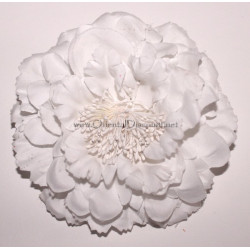 Fleur à cheveux blanc