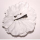 Fleur à cheveux blanc