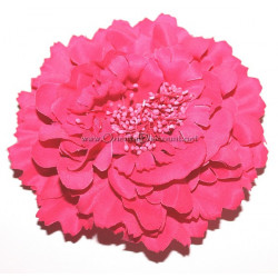 Fleur à cheveux fuschia