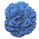 Fleur à cheveux bleu roy