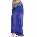 Sarouel de danse orientale bleu roy et doré