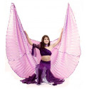 Ailes d'isis enfant de danse orientale couleur violet opaque