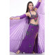 Costume de danse orientale 4 pièces violet