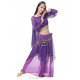 Costume de danse orientale 2 pièces Haut + violet et doré