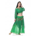 Costume de danse orientale 2 pièces Haut + vert intense et doré