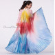 Ailes d'isis de danse orientale multicolore