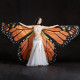 Ailes d'isis papillon orange