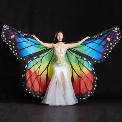 Ailes d'isis papillon multicolore