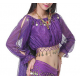 Brassière de danse orientale à paillette à manches longues violette 