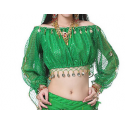 Brassière de danse orientale à paillettes à manches longues vert foncé