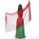 Voile de danse orientale rectangle à paillettes