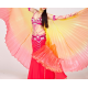 Ailes d'isis de danse orientale multicolores