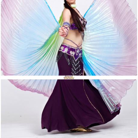 Ailes d'isis de danse orientale multicolores