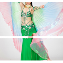 Ailes d'isis de danse orientale multicolores
