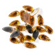 Lot de 20 strass goutte striee à coudre 