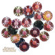 Lot de 20 strass coudre Marguerite rouge