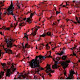 Molette sequin 6 mm