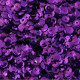Molette sequin 6 mm