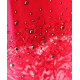 Legging dentelle et strass