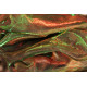 Foulard de danse orientale reflets brillants