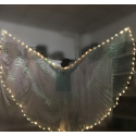 Ailes d'isis LED pas cher 