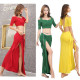Costume de danse 2 pièces choli et jupe brillante