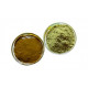 Henne en Poudre Golecha 50gr