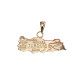 Pendentif Carte Turquie 