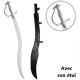 Sabre argenté
