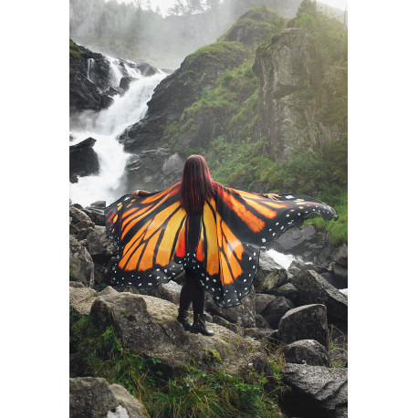 Ailes d'isis papillon ouvertes orange