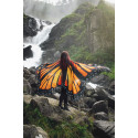 Ailes d'isis papillon ouvertes orange