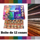 Boîte de 12 cônes de paillettes pour Henné
