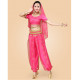 Costume de danse indienne Haut + Pantalon + Ceinture